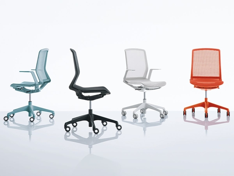 CYNARA（シナーラ）