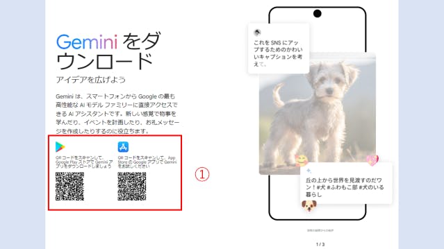 img_geminiapplication_05