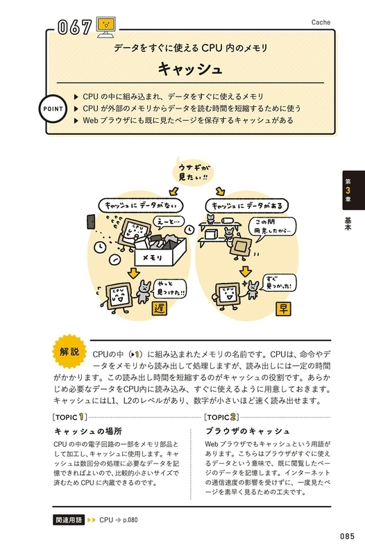 「キャッシュ」の解説