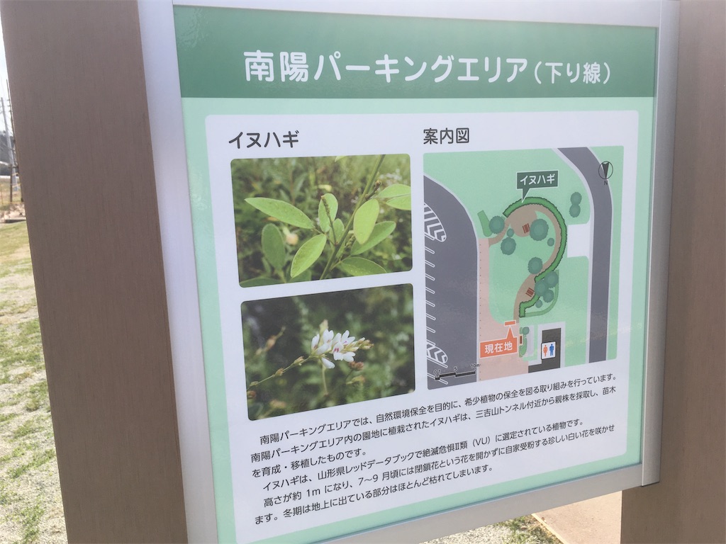 f:id:anderson1911:20190428222331j:image