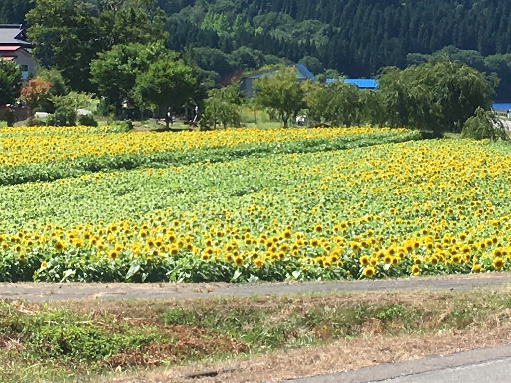 f:id:anderson1911:20190814204919j:image