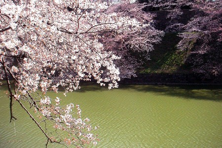 f:id:ando1947:20080326101603j:image f:id:ando1947:20080326101603j:image