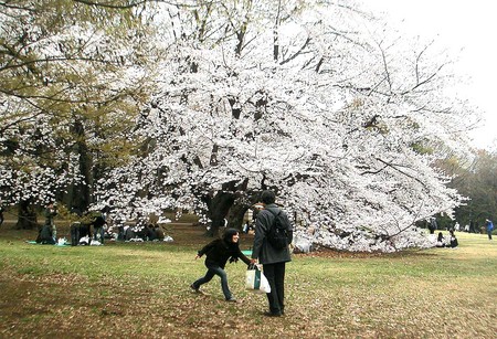 f:id:ando1947:20080330153106j:image