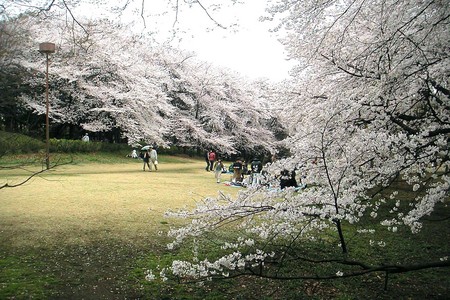 f:id:ando1947:20080330153556j:image