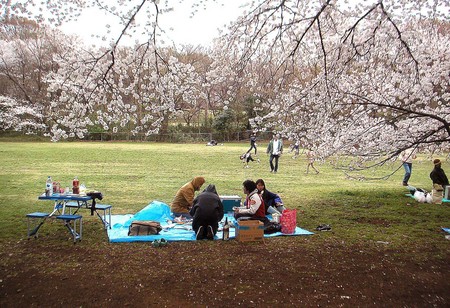 f:id:ando1947:20080330154150j:image