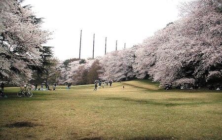 f:id:ando1947:20080330154323j:image