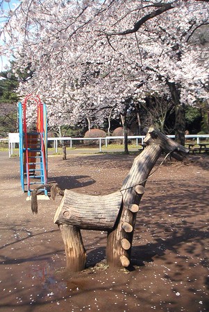 f:id:ando1947:20080331142723j:image f:id:ando1947:20080331142723j:image