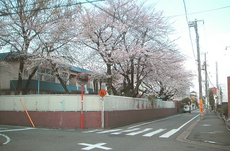 f:id:ando1947:20080331151145j:image f:id:ando1947:20080331151145j:image