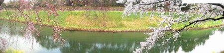 f:id:ando1947:20080407105216j:image
