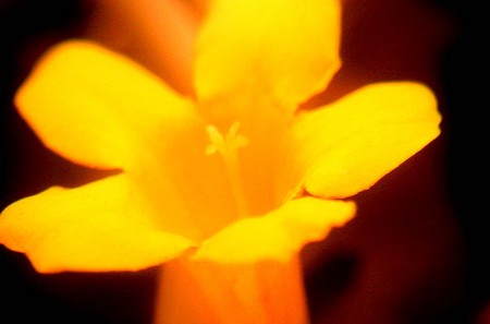 20080409202316
