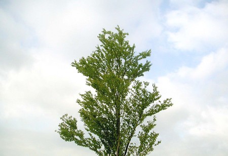 20080412074404