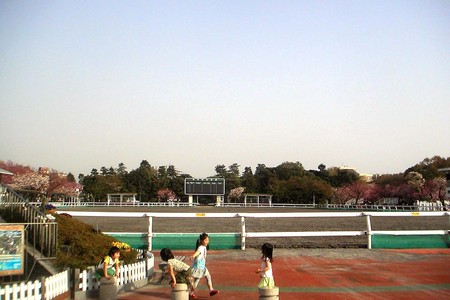 f:id:ando1947:20080415160942j:image f:id:ando1947:20080415160942j:image
