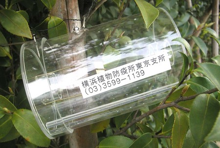 20080416170803