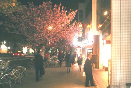f:id:ando1947:20080421194118j:image