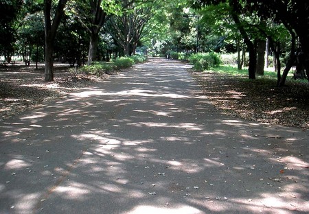 20080422112453