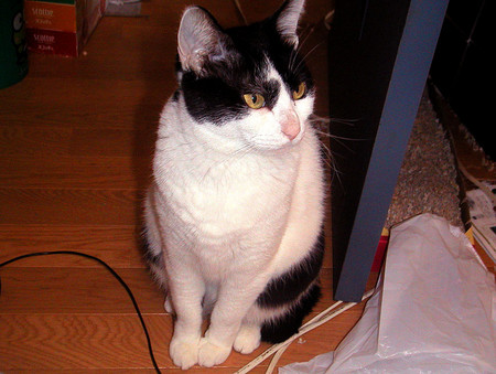 f:id:ando1947:20080430134713j:image f:id:ando1947:20080430134713j:image
