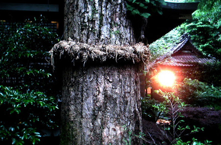 f:id:ando1947:20080605171046j:image f:id:ando1947:20080605171046j:image