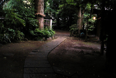 f:id:ando1947:20080605171146j:image f:id:ando1947:20080605171146j:image