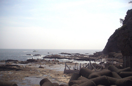 f:id:ando1947:20080610142623j:image f:id:ando1947:20080610142623j:image