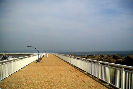 f:id:ando1947:20080610142722j:image f:id:ando1947:20080610142722j:image