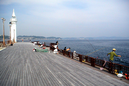 f:id:ando1947:20080610143458j:image f:id:ando1947:20080610143458j:image