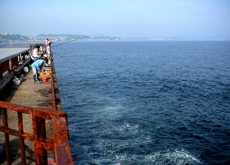 f:id:ando1947:20080610154244j:image f:id:ando1947:20080610154244j:image