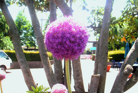 f:id:ando1947:20080613130606j:image