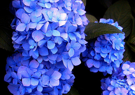 f:id:ando1947:20080613173731j:image