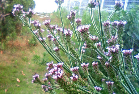 f:id:ando1947:20080621101000j:image
