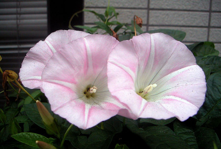 20080623120840