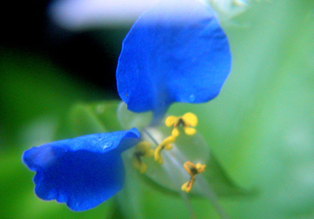 f:id:ando1947:20080626130152j:image f:id:ando1947:20080626130152j:image