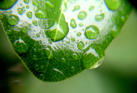 f:id:ando1947:20080626151353j:image f:id:ando1947:20080626151353j:image