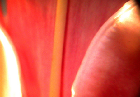 20080629234407