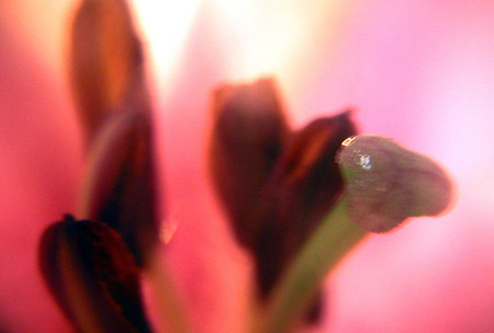 f:id:ando1947:20080629234437j:image