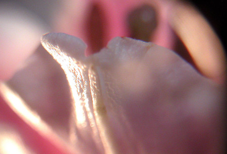 20080629235023
