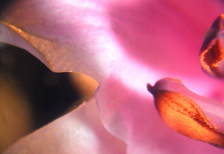 20080629235110