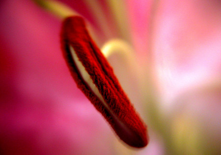 20080701004606