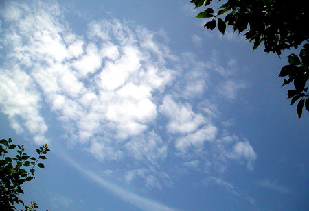 f:id:ando1947:20080711143053j:image f:id:ando1947:20080711143053j:image
