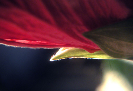 f:id:ando1947:20080716002412j:image