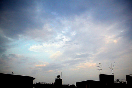 f:id:ando1947:20080716180146j:image f:id:ando1947:20080716180146j:image
