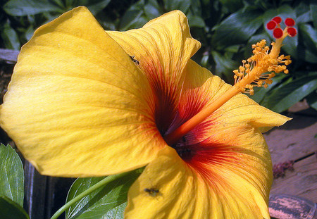 f:id:ando1947:20080717143433j:image