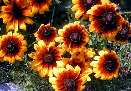 f:id:ando1947:20080717143817j:image