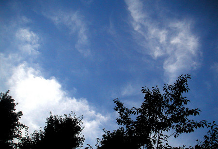 f:id:ando1947:20080723184603j:image f:id:ando1947:20080723184603j:image
