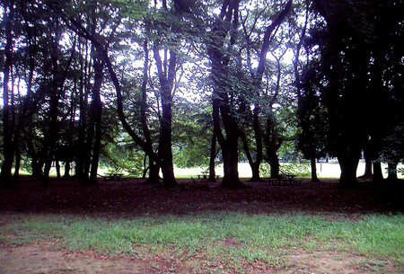 f:id:ando1947:20080727160851j:image f:id:ando1947:20080727160851j:image