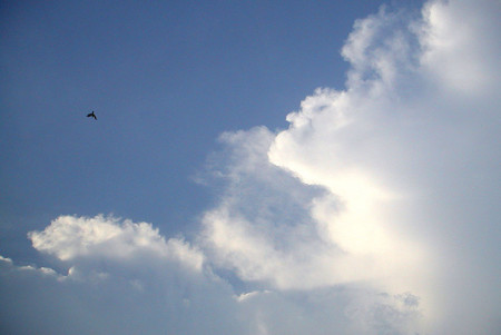 f:id:ando1947:20080804163323j:image