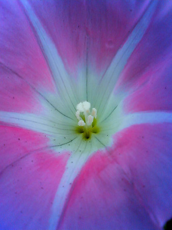 f:id:ando1947:20080805122100j:image f:id:ando1947:20080805122100j:image