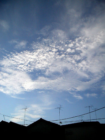 f:id:ando1947:20080815065100j:image