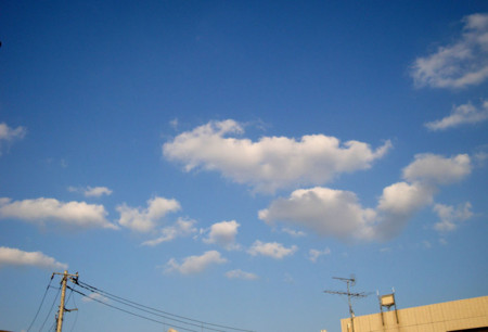 f:id:ando1947:20080910164000j:image