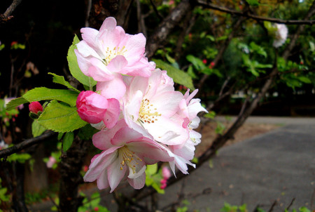 f:id:ando1947:20081002164533j:image