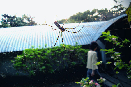 f:id:ando1947:20081002164617j:image